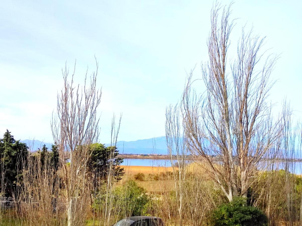 T2 Climatise A 5 Min De La Plage 'Calme & Confort' - 5 Canet Exterior foto